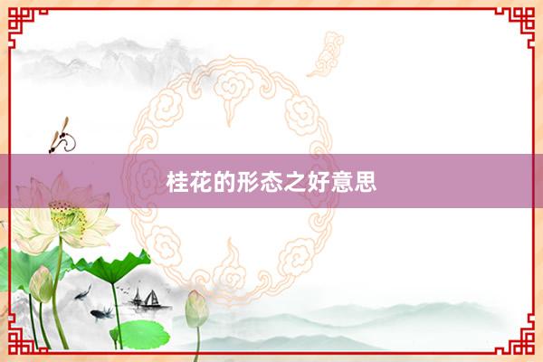 桂花的形态之好意思