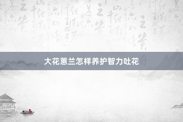 大花蕙兰怎样养护智力吐花
