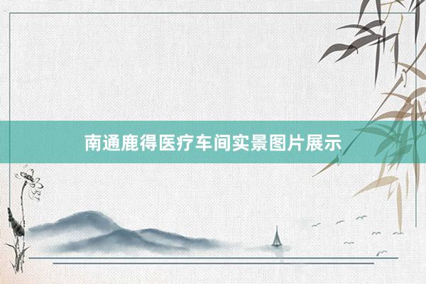 南通鹿得医疗车间实景图片展示