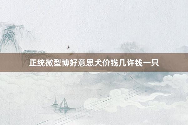 正统微型博好意思犬价钱几许钱一只